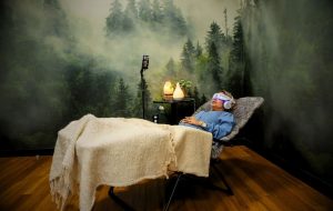 Forest Room in the Kingbridge Revitalization Lounge