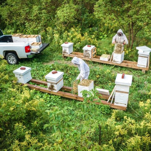 Kingbridge Pollinator Village