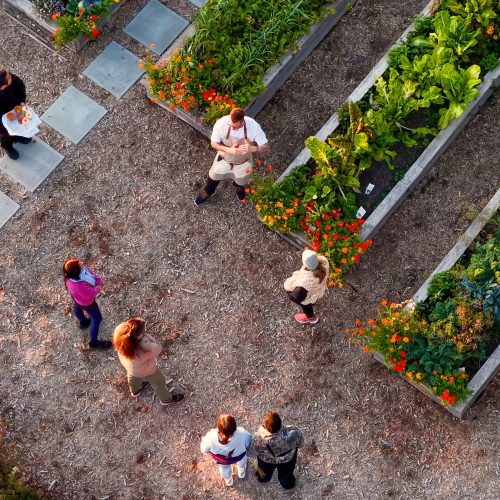 Eco-Experience - Dine From The Land