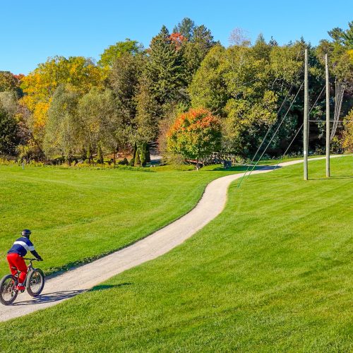 Biking Through The Trails