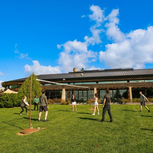 Lawn Games - Volleyball