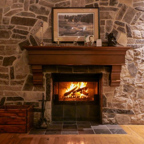 Library - Fire Place