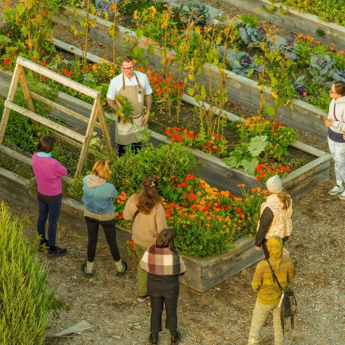 Eco-Experience - Dine From The Land