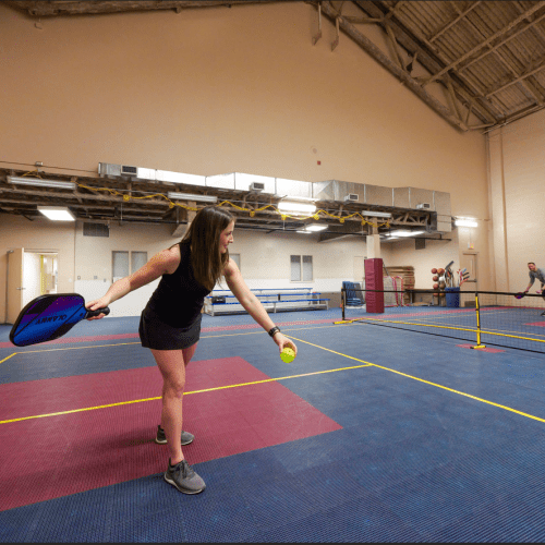 Multi use sports court - Pickleball